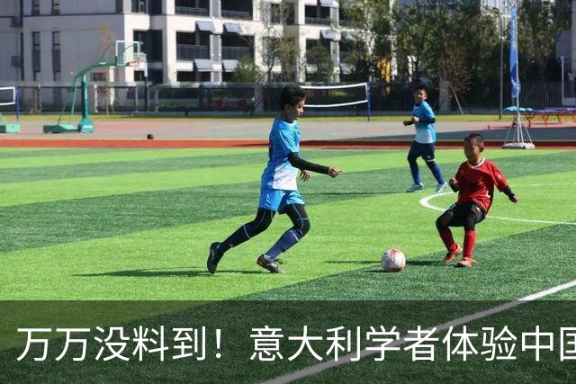 万万没料到！意大利学者体验中国高铁直言：不逃票的老实人成傻子