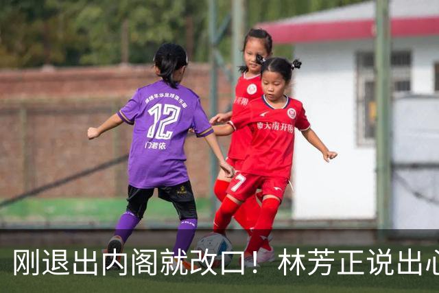刚退出内阁就改口！林芳正说出心里话：中日开战完全不可想象？