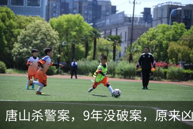 唐山杀警案，9年没破案，原来凶手就在专案组