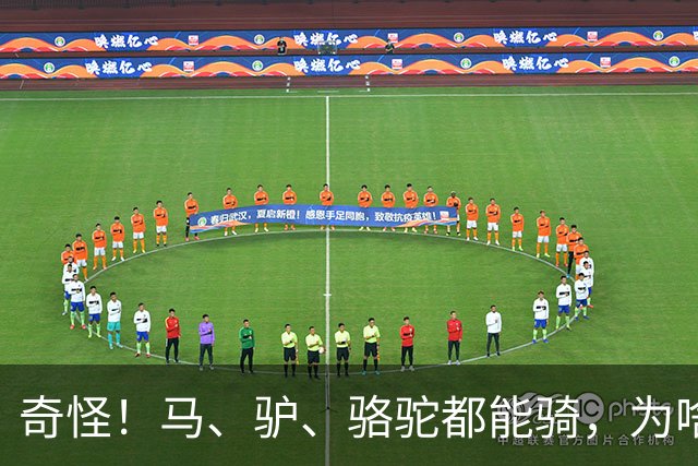 奇怪！马、驴、骆驼都能骑，为啥却没人驯服鹿当坐骑呢？