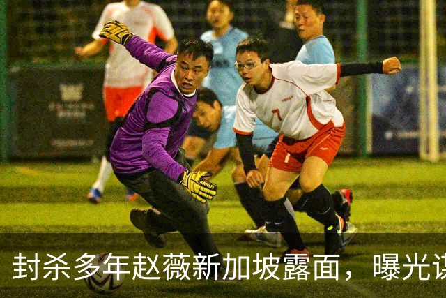 封杀多年赵薇新加坡露面，曝光谋生手段，网友：想不到她会干这个