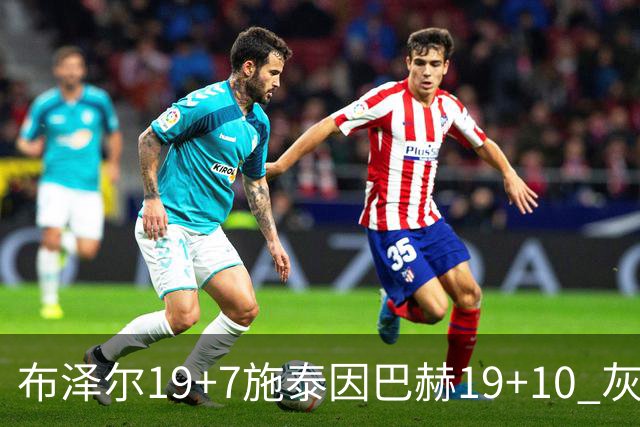 布泽尔19+7施泰因巴赫19+10 灰熊主场大胜黄蜂