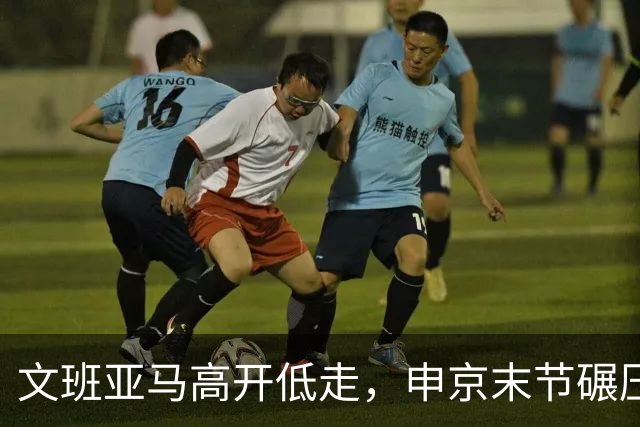 文班亚马高开低走，申京末节碾压马刺内线，火箭险胜卫冕亚军