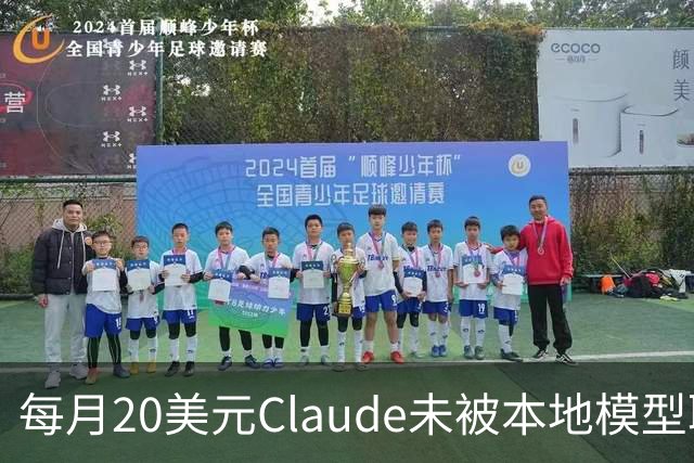 每月20美元Claude未被本地模型取代，被取代的是不敢上云的事