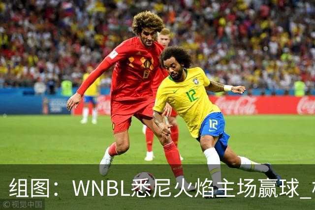 组图：WNBL悉尼火焰主场赢球 杨舒予与队友庆祝胜利