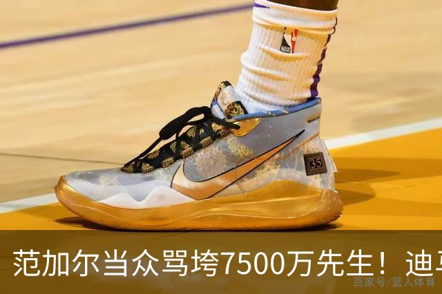 范加尔当众骂垮7500万先生！迪马利亚曼联陨落真相，埃雷拉全说了