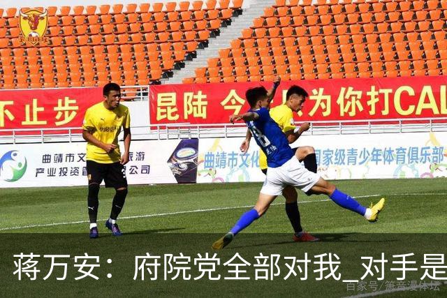 蒋万安：府院党全部对我 对手是两个沈伯洋