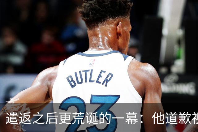 遣返之后更荒诞的一幕：他道歉视频里那幅画，被网友扒穿了